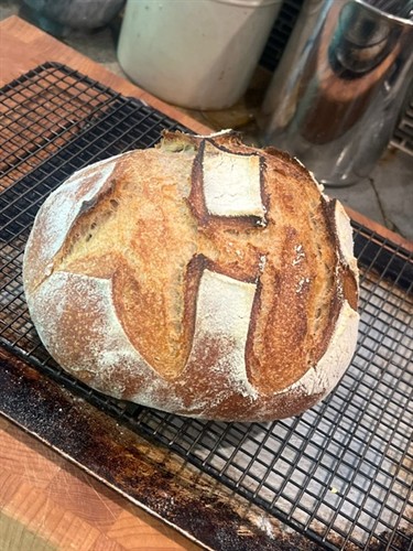 Gallery Image image24.jpeg