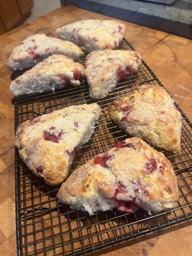 Gallery Image image25.jpeg