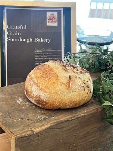 Gallery Image image4.jpeg