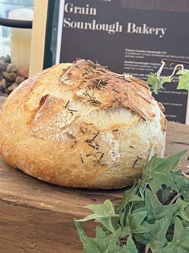 Gallery Image image5.jpeg