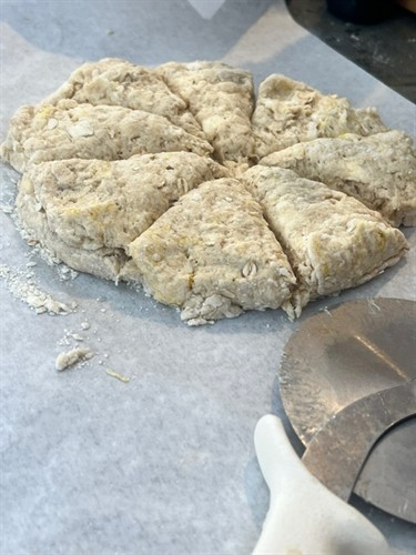 Gallery Image image57.jpeg