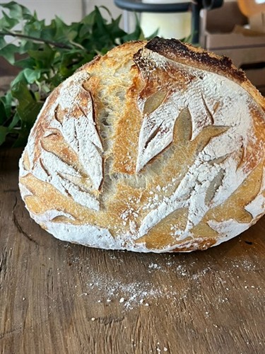 Gallery Image image9.jpeg