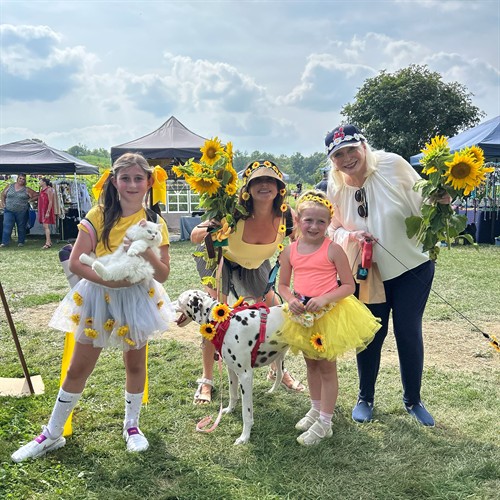 Gallery Image cvcc-sunflower3.jpg
