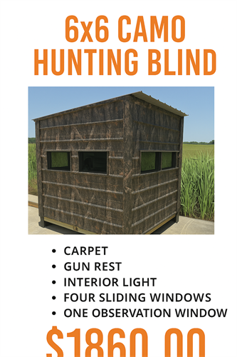 Gallery Image ChatGPT_Image_Aug_26._2025._10_02_57_AM.png