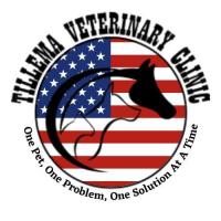 Tillema Veterinary Clinic's 9 Year Anniversary and Client Appreciation Day