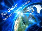 Elite Global Business Consulting Services