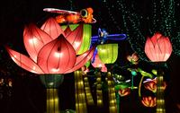 Chinese Lantern Festival 2019