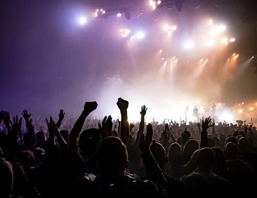 Large Concerts & Tribute Bands