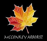 M. McConkey Arborist Services