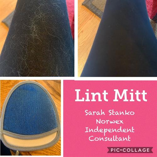 Gallery Image lint_mitt.jpg