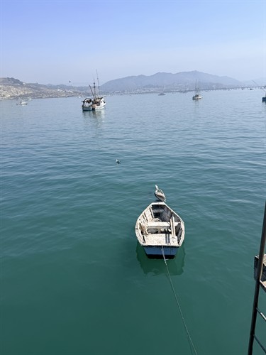 Avila Beach