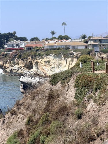 Shell Beach