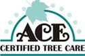 ACE Certified Tree Care