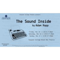 Theatre- The sound Inside