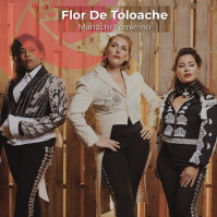 Flor de Toloache - Mariachi femenino