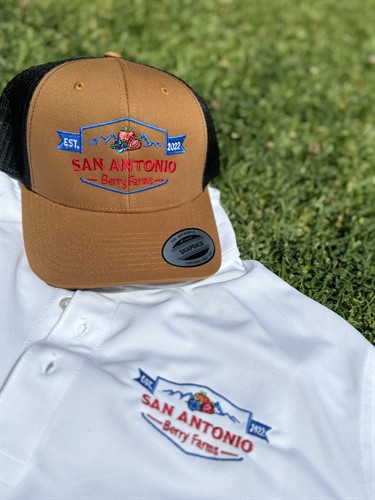 Brand Identity Development