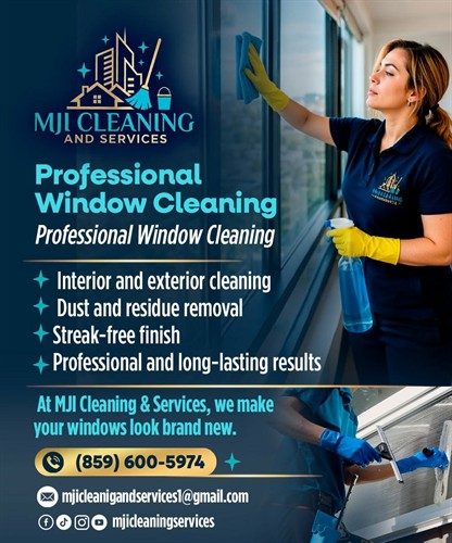 Windows Cleaning
