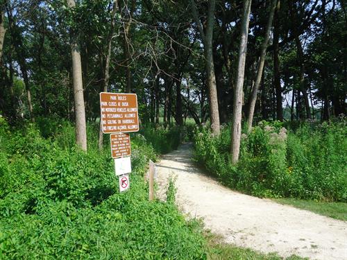 The Ancient Oaks Foundation advocates for maintainance of the village parks such as the Oak Ridge Marsh Nature Park which increasse property values and the health of the community