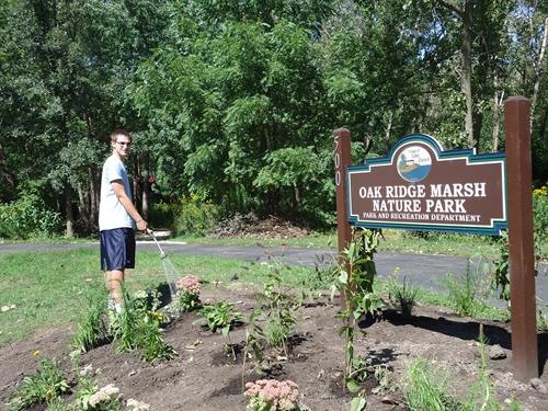 Eagle Scout Eric Auster designed and installed a butterfly garden at the Oak Ridge Marsh Nature Park.  The Ancient Oaks Foundation supported his efforts.