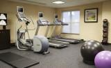 Fitness Center (Weights, Treadmills, Stepper, & Peloton Bike)