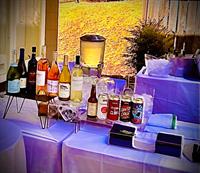 Liquid Shakers Mobile Bartending