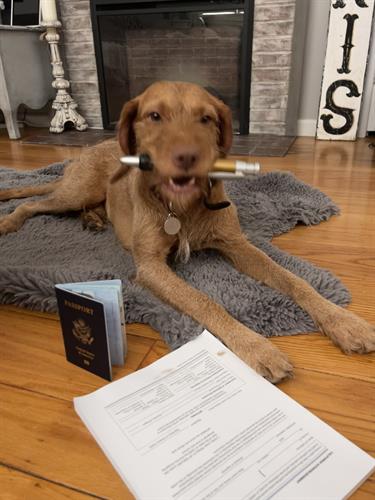 Mobile-Notary-Dog-Signing