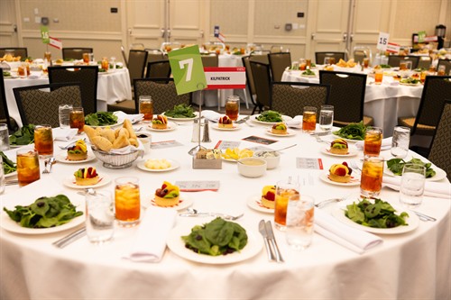 Gallery Image dinner_gala.jpg