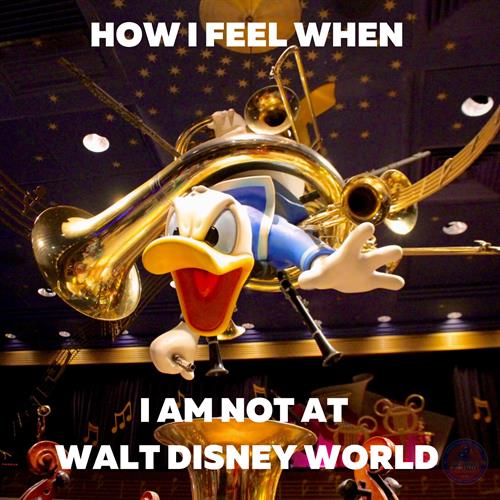 Gallery Image Disney.jpg