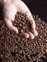 Berk's Beans Coffee