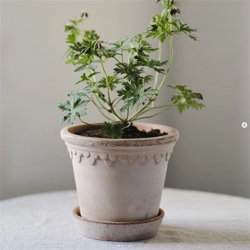 Gallery Image Screenshot_2025-07-07_at_18-01-31_Instagram.png