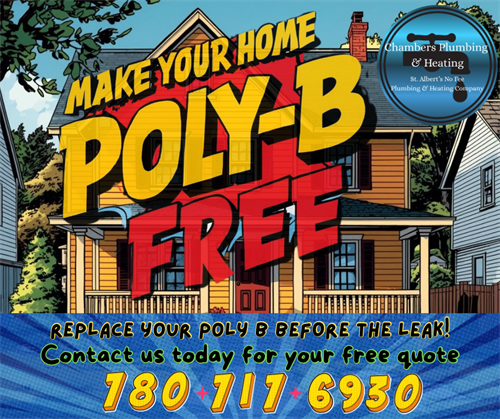 Gallery Image Poly_B_Comic_Ad_-_Poly_b_free_2.png