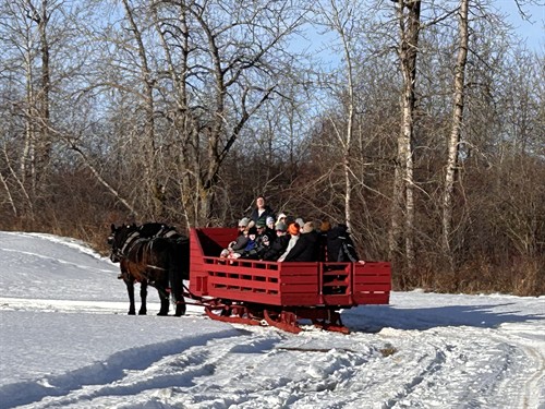 Sleigh RIde Fun Times