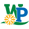 Weed Patrol Lawn Care
