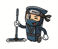 Bin Ninja