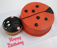 Ladybug Cake Ladybug Cake