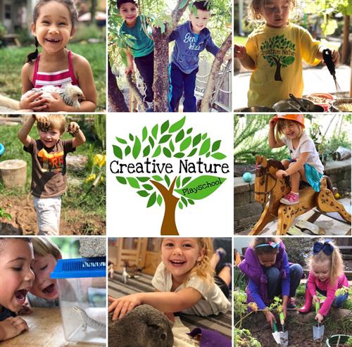 Creative Nature Playschool - Best Preschool in Orangevale! Creative Nature Playschool - Best Preschool in Orangevale!
