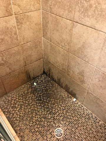 Before stone shower clean
