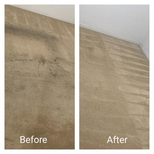 Gallery Image Carpet_Cleaning_Roseville.jpg Gallery Image Carpet_Cleaning_Roseville.jpg