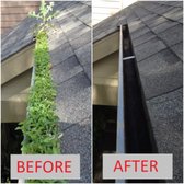 Before & After Gutter Cleaning 