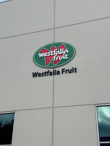 Gallery Image Westfalia_IMG_5141.jpg