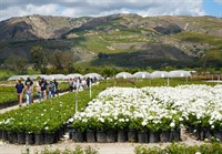 SEEAG's Free ''Farm Day Every Day'' At Otto & Sons Nursery in Fillmore – June 27