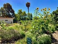 SEEAG To Create Farm Lab Hub at La Colina Junior High School In Partnership with Santa Barbara Unified School District