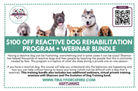 $100 Reactive Dog Rehabilitation Program + Webinar Bundle