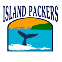 Take To The Seas For Island Packers Winter Whale Watching And Excursions!