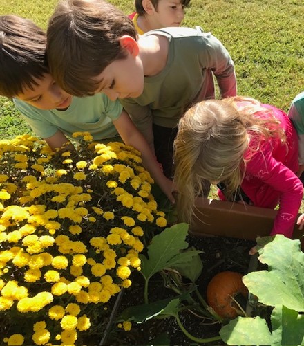 Gallery Image NNPumpkin.jpg