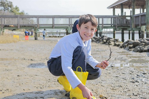 Students explore our living shoreline to learn about marine live creatures.