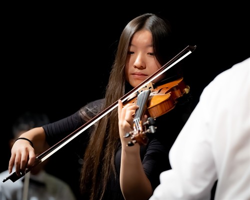 Gallery Image US_Violin.jpg