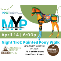 MYP - Night Trot Painted Ponies Art Walk