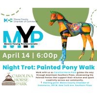MYP - Night Trot Painted Ponies Art Walk