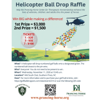 Helicopter Ball Drop Raffle